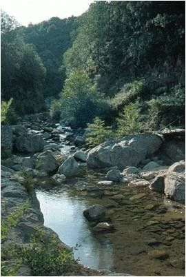 N'importe où toujours un point de sérénité Rivière de Corse horizon-spirituel.com