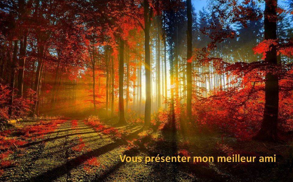 Rencontre étonnante Rencontre vivifiante Horizon-spirituel.com