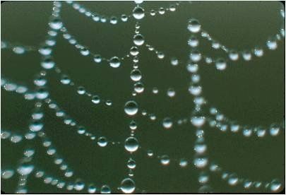 Collier fragile Toile d'araignée perlée horizon-spirituel.com