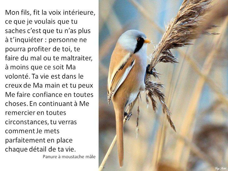 Protégé Plus d'inquiétude horizon-spirituel.com