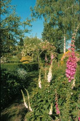 digitales jardin magnifique horizon-spirituel.com