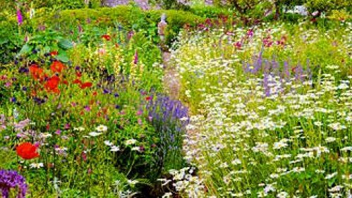 Ëtre la petite graine de Jésus, quel beau destin ! jardin merveilleux horizon-spirituel.COM