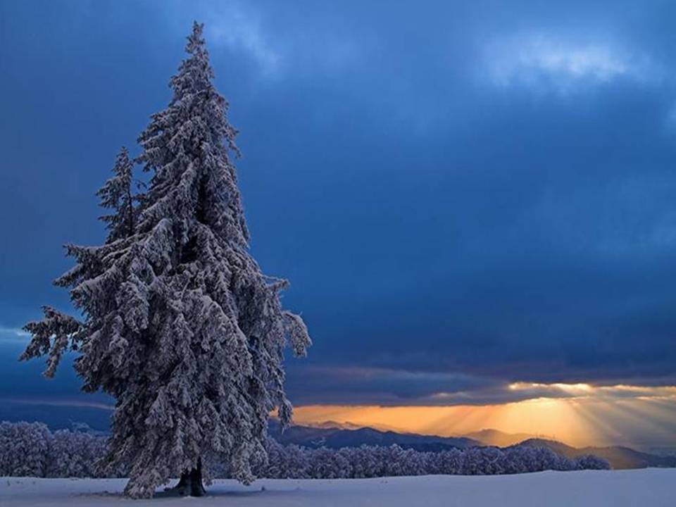 Vosges hivernale  horizon-spirituel.com