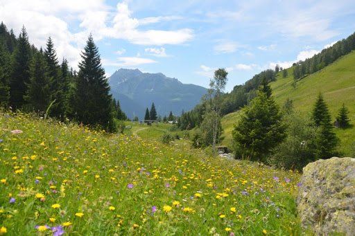 Bonheur, senteurs, harmonies, tout est dans la nature Prairies fleuries horizon-spirituel.com