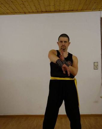 Ip Man Wing Tsun