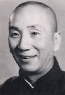 Ip Man photo