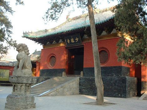 Shaolin Temple Wing Chun
