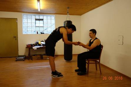 Wing Chun Bai Shi