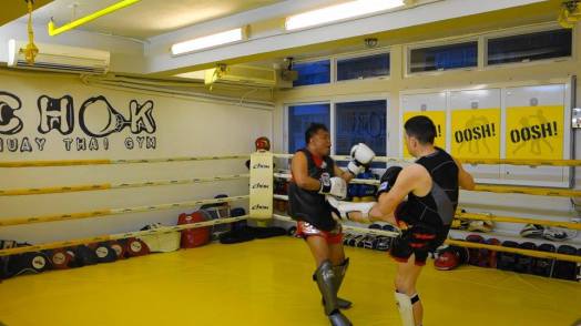 Ip Man Wing Chun Sparring