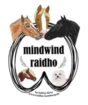 mindwind Raidho Hamburg, Schleswig-Holstein, Sabina Hirtz