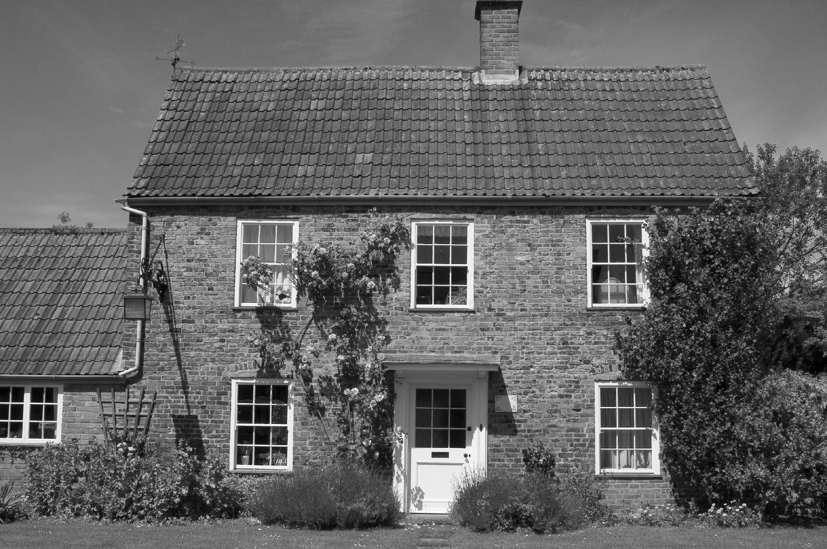 eu parlament sanierungspflicht immobilien