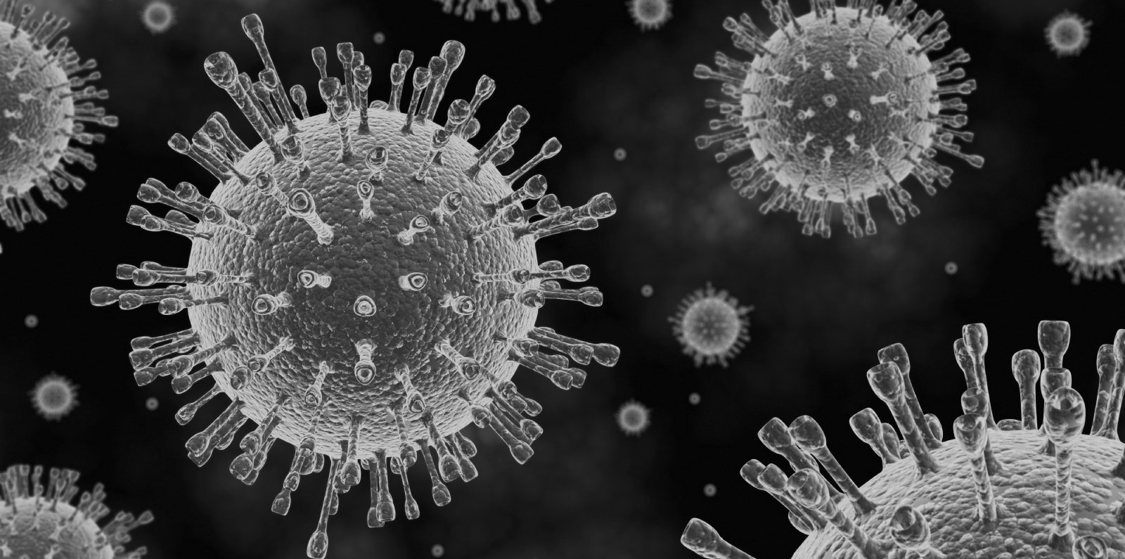 coronavirus sars-Cov-2 corona pandemi immobilie
