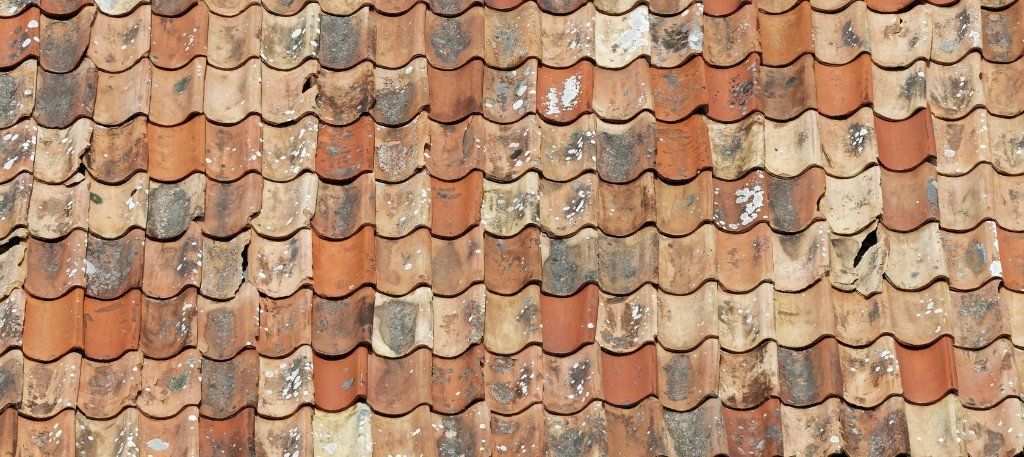 Ludwigsburg Immobilienmakler