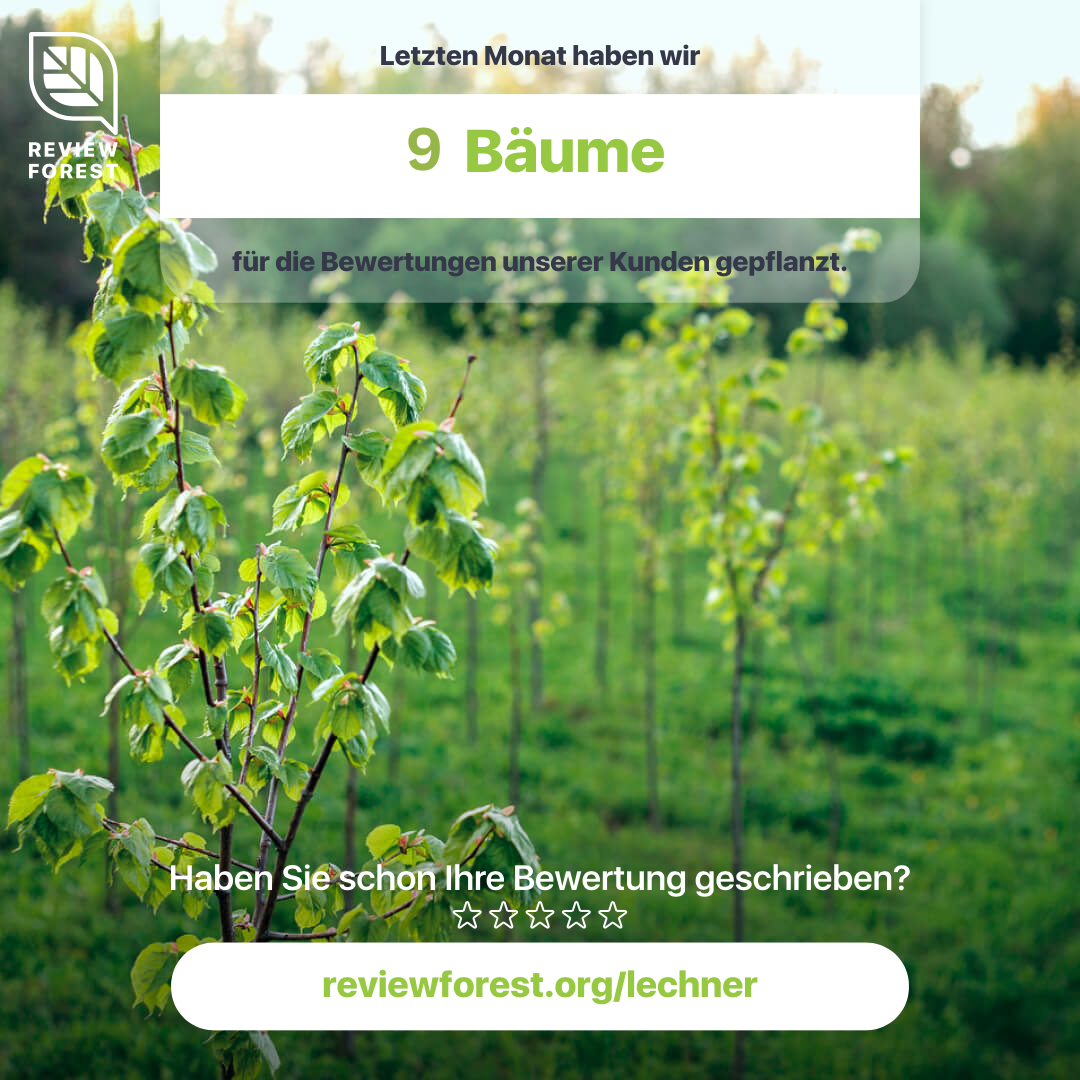 immobilienmakler ludwigsburg bewertungen bester makler