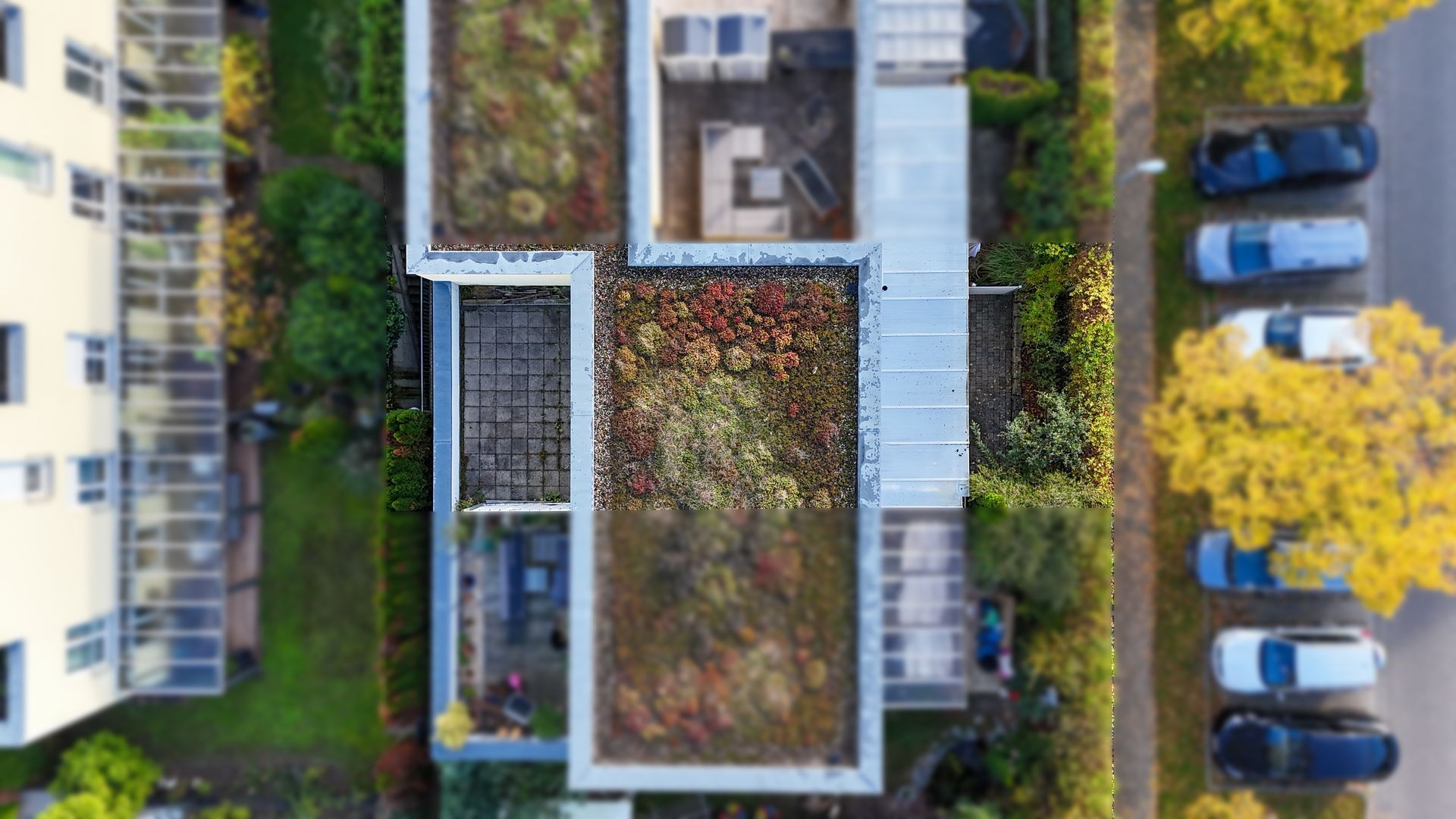 luftbild gründach neubau einfamilienhaus ludwigsburg ossweil hartenecker höhe