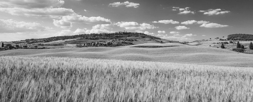 immobilien immobilienmakler ludwigsburg