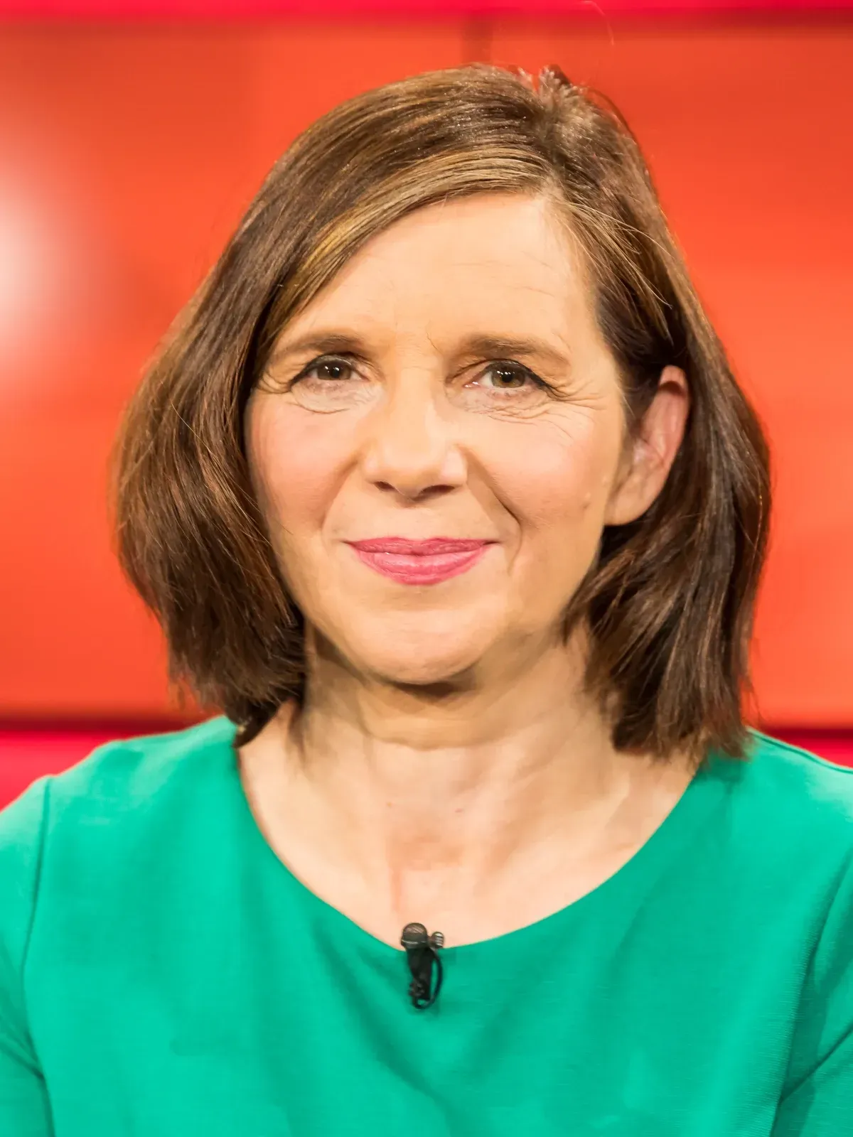 goehring eckardt grüne zum heizungsverbot hart aber fair