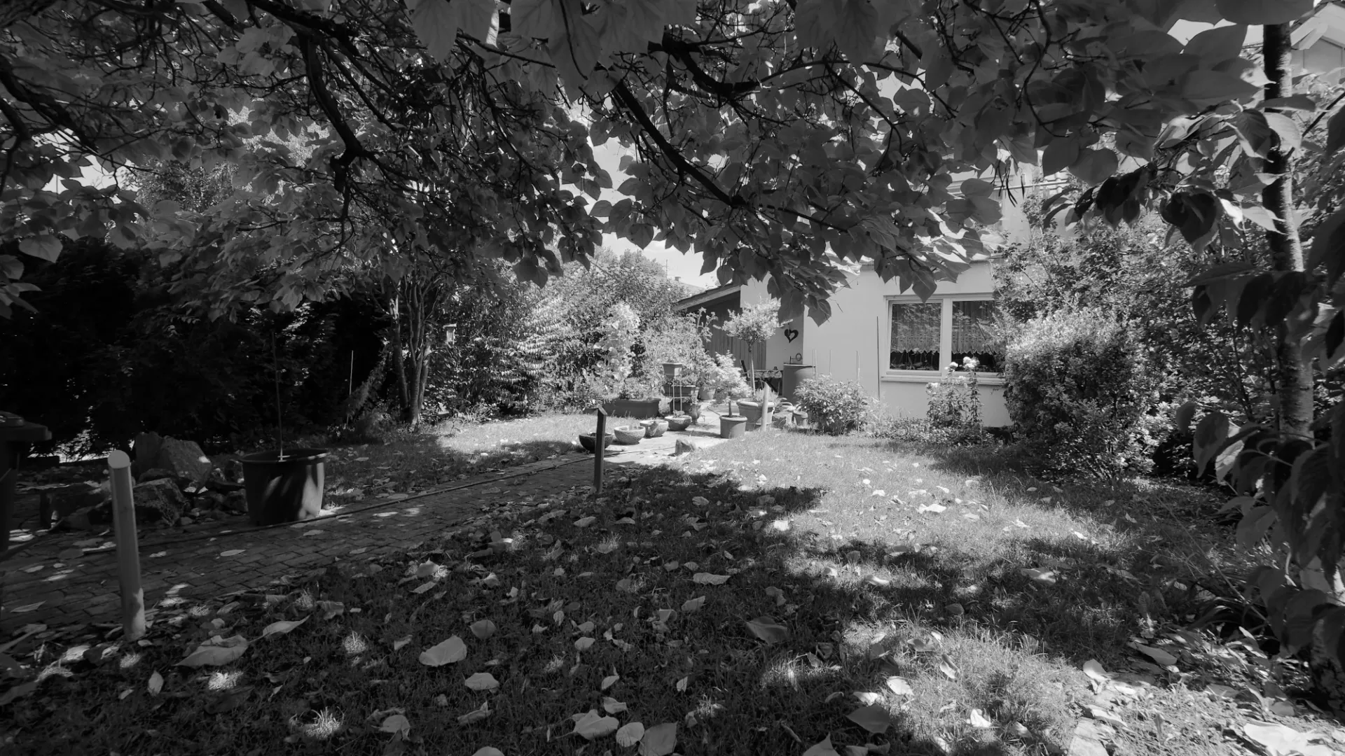 haus möglingen garten baum terrasse