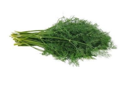 Küchenkräuter im Hundenapf Petersilie