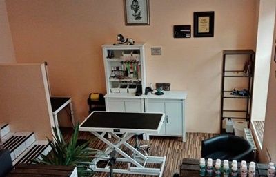 Hundesalon Dogsclub Hundesalon Dogsclub