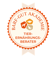 Zertifikat Elvira Ernährungsberatung