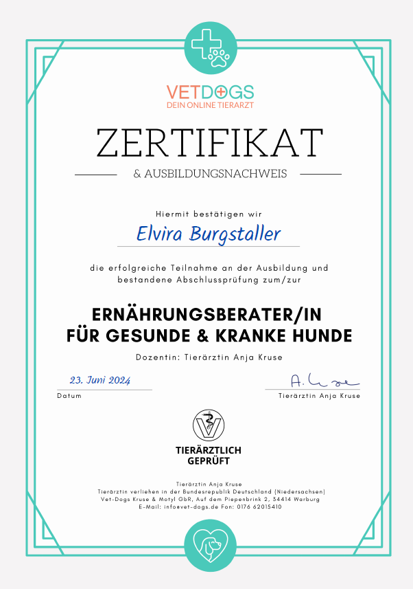Zertifikat Elvira Ernährungsberatung
