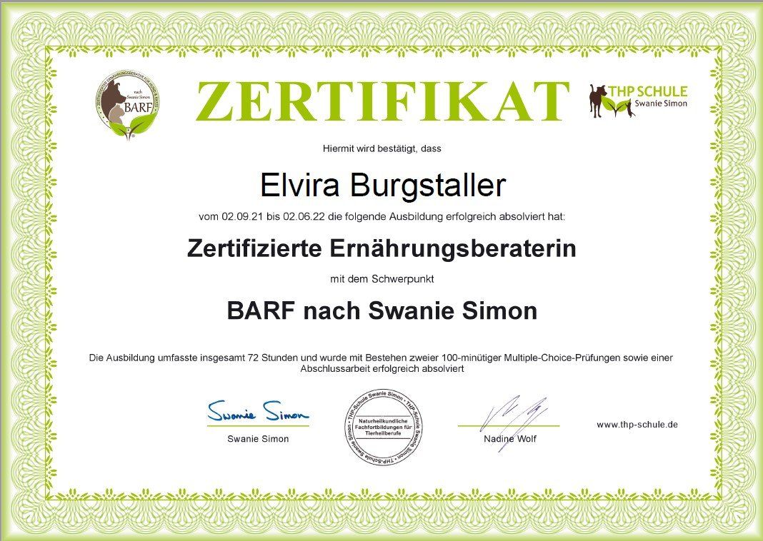 Zertifikat Elvira Ernährungsberatung