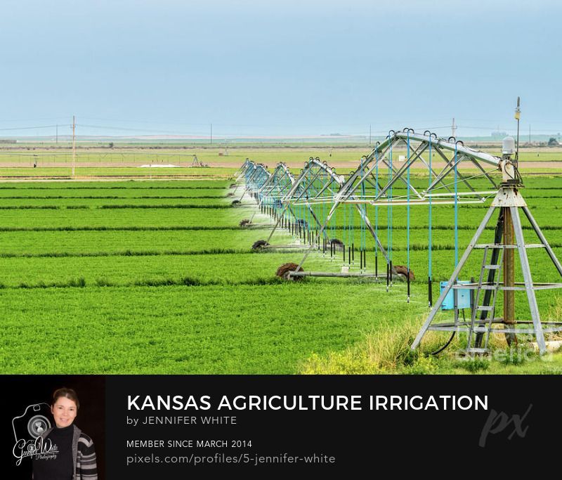 A water train sprays water on a crop in the middle of a field. As you drive through the US State of Kansas you'll see a lot of these agriculture water irrigation systems I like to call a water train. This is how big industrial farmers irrigate their crops to help keep them alive during droughts.