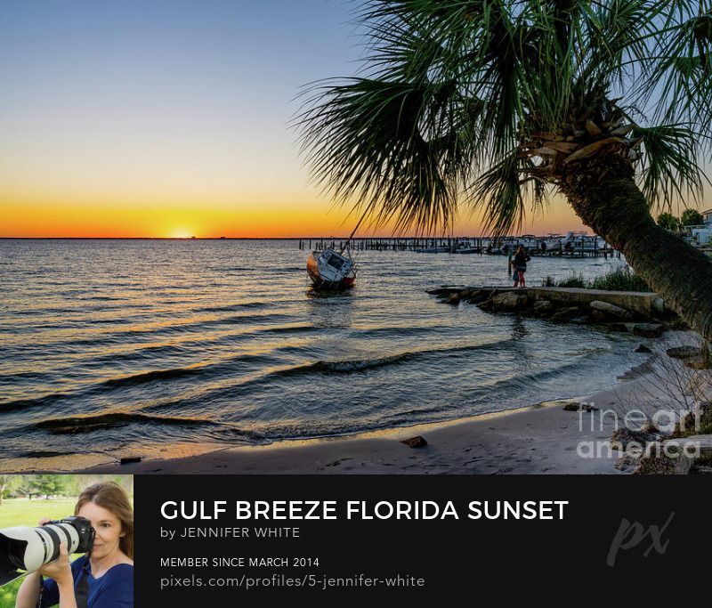 A fine art photo of a leaning palm tree and leaning sailboat shipwreck in Gulf Breeze, Florida by Jennifer White with Timeless Moments Photography.