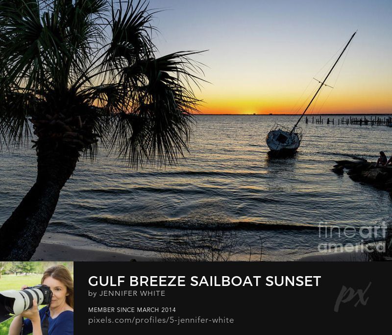 A fine art photo with a leaning sailboat shipwreck and leaning palm tree in Gulf Breeze, Florida by Jennifer White with Timeless Moments Photography.