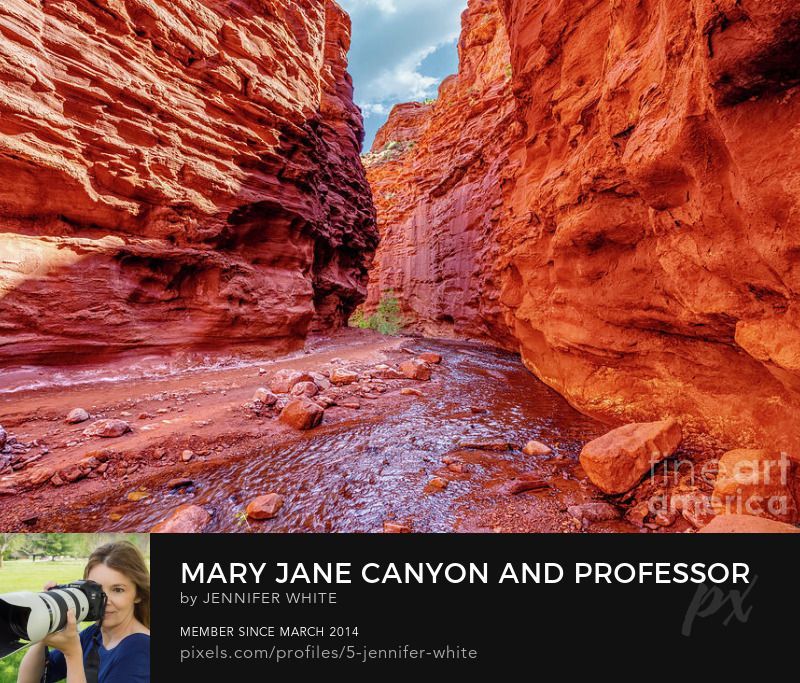 A view standing in the middle of Mary Jane Canyon along Professor Creek in Moab, Utah by Jennifer White with Timeless Moments Photography.