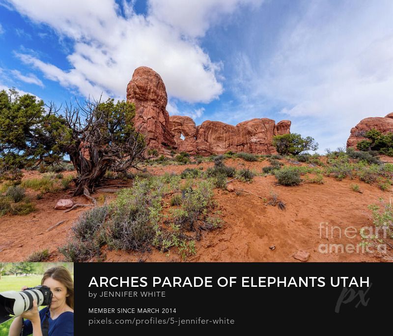 A view of the cool Parade Of Elephants rock formations along the trail to Double Arch in Arches National Park in Utah.