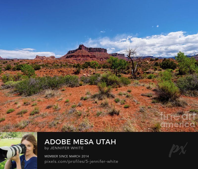 A view of the beautiful and cool Adobe Mesa rock formation mountain from the Professor Creek hiking trail in Moab, Utah by Jennifer White with Timeless Moments Photography.