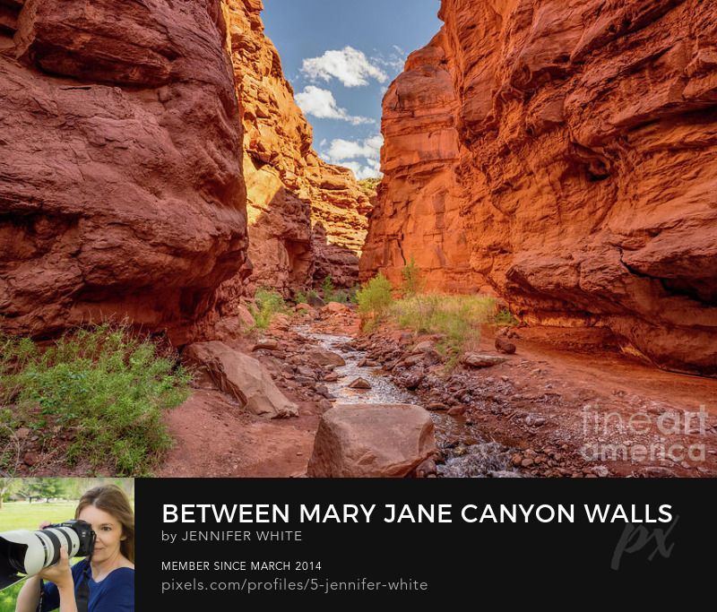 As the sun heads down, you can see shadows on the slot canyon walls from the red orange cliff walls. This is Mary Jane Canyon with Professor creek running through it in Moab, Utah