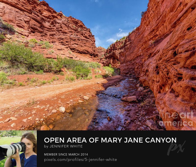 A more open area part of the Mary Jane Canyon along Professor Creek. You can see some weeds and bushes growing in the dirt. This is located in Moab, Utah. Professional photo by Jennifer White with Timeless Moments Photography.