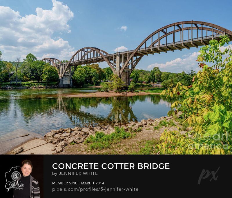 A view of the historic Cotter Bridge reflecting on the White River in Cotter, Arkansas. I framed part of a tree on the side. It is the longest concrete “rainbow” arch bridge in the United States and lights up at night in rainbow colors. The six-span bridge was built in 1929 and was restored in 2002. It is also known as the R.M. Ruthven Bridge named after the County Judge. They think the Cotter Bridge is most likely the biggest bridge of its kind that is still standing.