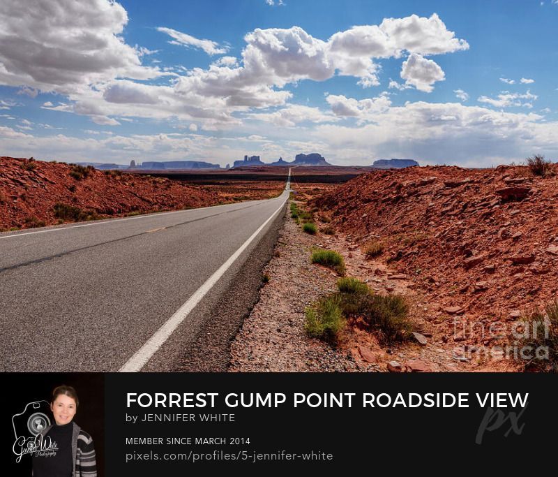 Side View of US Highway 163 and Monument Valley from Forrest Gump Point
This photograph offers a unique perspective of the iconic US Highway 163 scene, looking toward hazy mesas and buttes along the Utah–Arizona border from the famous tourist stop known as Forrest Gump Point. Rather than standing in the middle of the road, this image was captured from the roadside near mile marker 13 in Mexican Hat, Utah. The location gained worldwide recognition from the movie Forrest Gump, where the title character ended his cross-country run, telling his followers, “I’m pretty tired. I think I’ll go home now.” In the distance, the Mittens buttes and parts of Monument Valley in Arizona rise above the desert floor, while a few cars make their way along the open highway. This scenic overlook remains one of the most photographed views in the American Southwest. Additional photographs from the center of the road are also available.
This photo was taken by Jennifer White with Timeless Moments Photography. All images are copyrighted © Timeless Moments Photography/Jennifer White. All rights reserved.