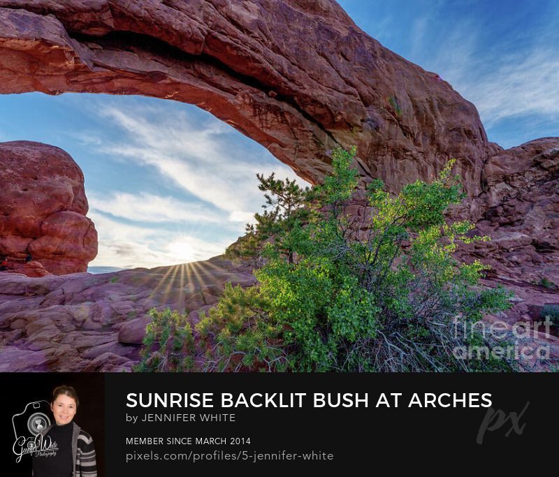 I captured this photograph as the sun peaked up through the opening of the South Window rock formation to capture a sunburst. A green bush is backlit by the sun light as the partly cloudy blue sky above adds some soft contrast to the red rock formation. This is in the Windows Section of Arches National Park in Moab, Utah, United States. It was such a beautiful and quiet spring season morning.