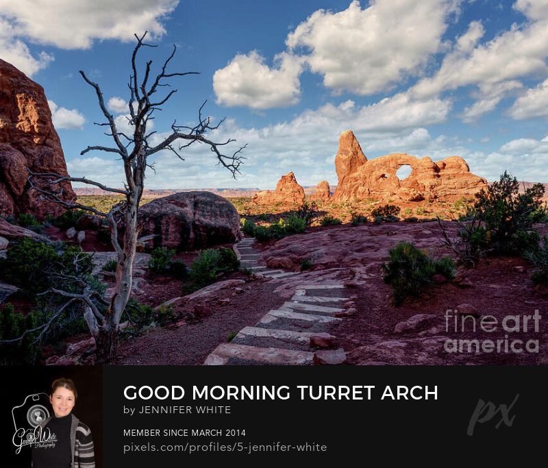 As the sun comes up behind me, it starts to cast golden light on the majestic Turret Arch rock formation at the Windows Section in Arches National Park in Moab, Utah, USA. I captured this photograph looking down a quiet desert walkway as it curves with the landscape. A cool looking bare juniper on stands on one side adding some extra character to the scene. The partly cloudy blue sky contrasts with the sandstone terrain.