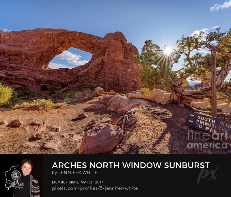 A tranquil sunrise at Arches National Park in Moab, Utah, highlights the beauty of the North Window Arch in the park’s Windows Section. The sun peeks through a cluster of juniper cedar bushes, casting a radiant starburst of light that illuminates the rugged desert landscape. The massive sandstone arch glows in deep orange and red tones, contrasted by wisps of soft clouds drifting across the clear blue sky. A trail sign along the Windows Primitive Loop subtly anchors the scene, reminding visitors of the paths that guide them through this extraordinary natural wonder.