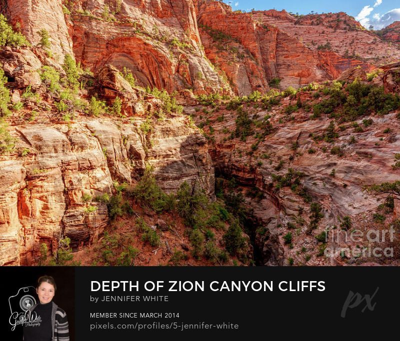 Wow! Don't get dizzy looking down into this deep canyon in Zion National Park in Utah, United States. Deep down into the depth of that crack you see way down there is Pine Creek.