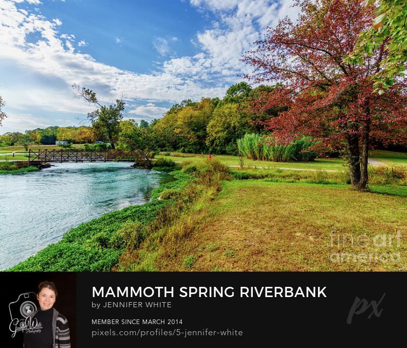 Standing along the side of the river bank of the natural river made by Mammoth Spring in Mammoth Spring, Arkansas, United States. A State Park, I took this during the autumn fall season as you can see the colorful trees. There is a quaint walkway bridge that crosses over the naturally blue flowing spring water. One of the largest springs in the world, nine million gallons of water flows it every hour. It forms a 10-acre lake and runs southward as the Spring River, which is famous for Ozark trout and as a float stream. Photo by Jennifer White Timeless Moments Photography.
