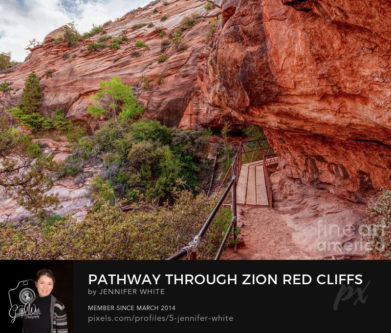 This breathtaking scene showcases the dramatic view along the Zion Canyon Overlook Trail in Zion National Park, Utah, USA, as the path winds around the rugged red rock cliffs. At this point, the trail narrows into a wooden walkway that hugs the mountainside, leading toward a small cave-like alcove.