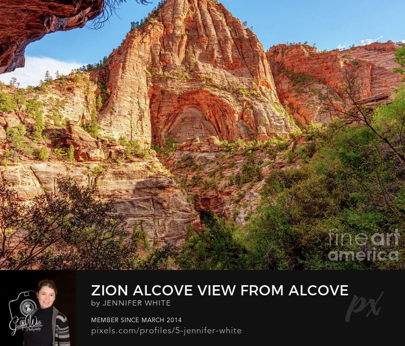 The warm evening sunlight bathes the towering red rock cliffs of Zion National Park in a brilliant orange glow. Captured in Utah along the Zion Canyon Overlook Trail, this photograph looks out from a cave-like alcove toward another naturally formed alcove opening across the valley.