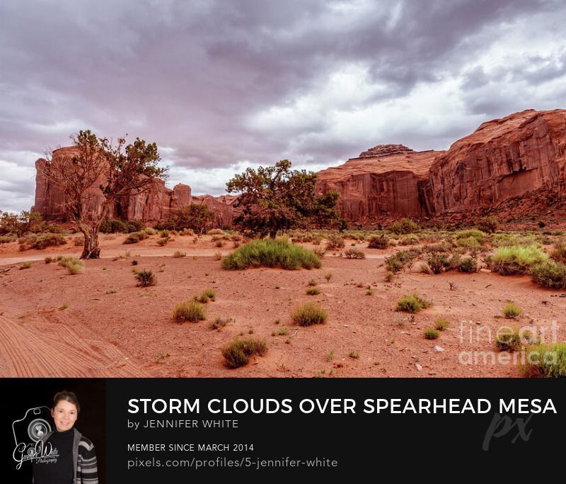 Spring storm clouds rolled in quickly while we were exploring Monument Valley in Navajo Tribal Park, located in northeast Navajo County, Arizona, United States. In the foreground, a weathered cedar and juniper tree stands against the dramatic backdrop of Spearhead Mesa. The deep purples and blues in the approaching storm clouds contrast beautifully with the warm orange tones of the desert landscape and sandstone formations. Not long after I captured this scene, the temperature dropped, the sky opened up with hail, and the storm shifted into sleet with a mix of snow—a wild and unforgettable desert moment.