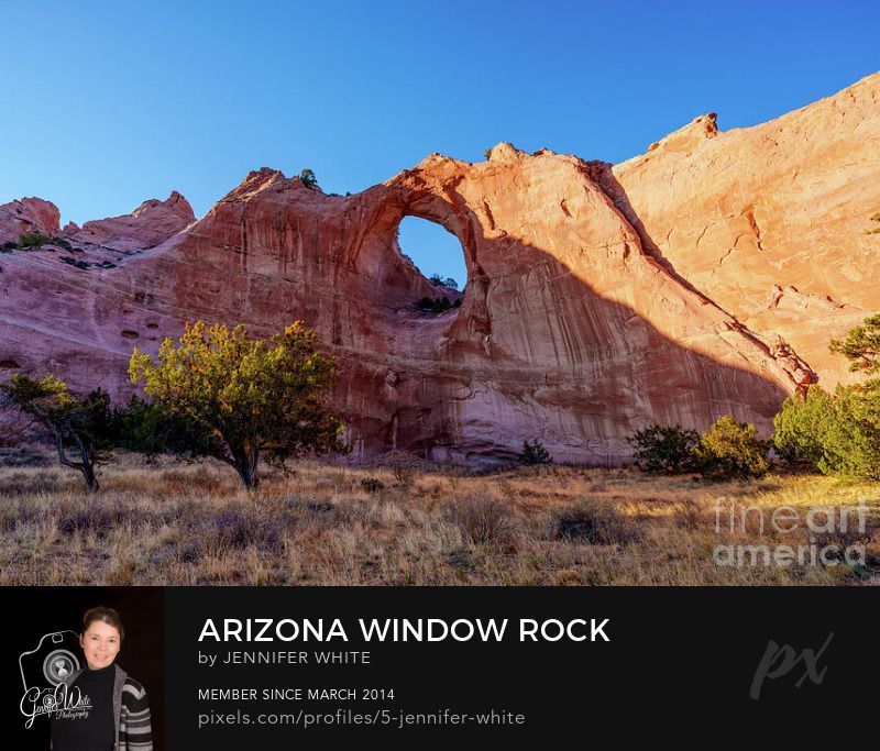 This landscape photograph features the iconic Window Rock formation in Window Rock, Arizona, the capital of the Navajo Nation. The natural sandstone arch is bathed in warm golden evening light, casting rich highlights and shadows that enhance the deep orange and red earthy tones of the majestic desert rock.
In the foreground, a couple twisted juniper trees leans gracefully toward the side, adding character and visual balance to the composition. The clear blue sky shines brilliantly through the natural opening in the rock wall, framing the arch and drawing the eye to its remarkable shape. Below, dry grasses and desert plants spread across the sandy terrain, grounding the scene in the rugged textures of the Southwest. This view captures the timeless beauty, cultural significance, and quiet strength of the Navajo landscape.
This photo was taken by Jennifer White with Timeless Moments Photography. All images are copyrighted © Timeless Moments Photography/Jennifer White. All rights reserved.