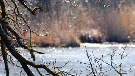 4 Elemente Wanderung coaching-plus