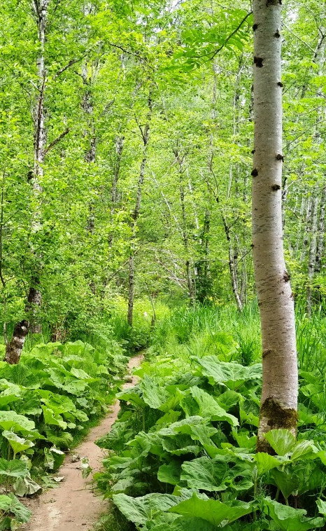 4 Elemente Wanderung coaching-plus