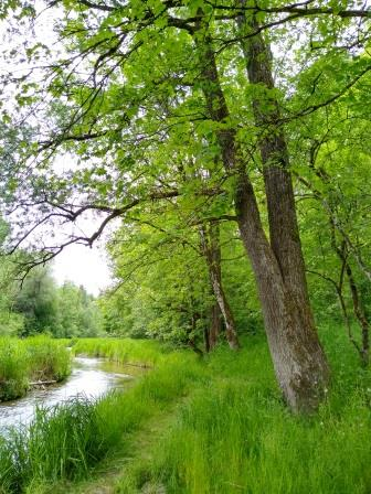 4 Elemente Wanderung coaching-plus