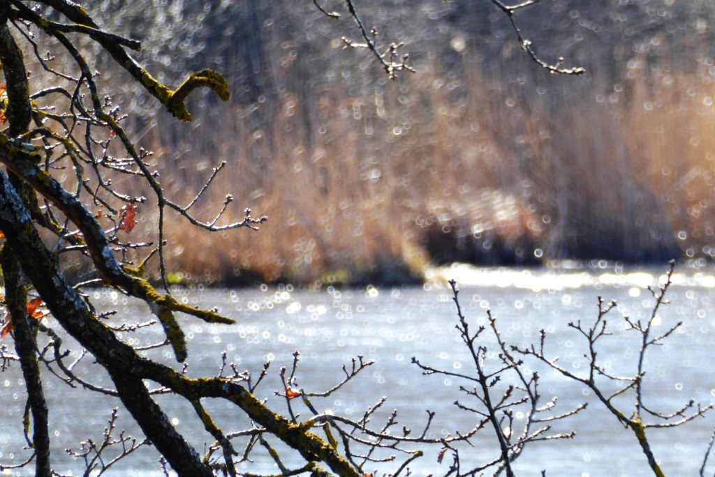 4-Elemente-Wanderung